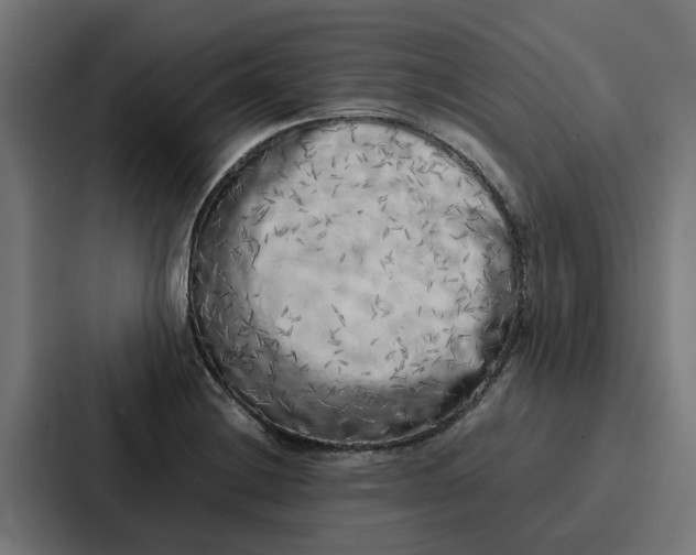 X0000087321228200705112130