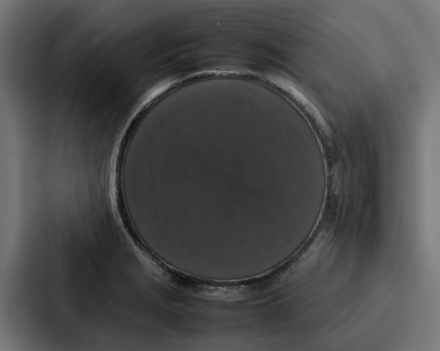 X0000087321229200705112130