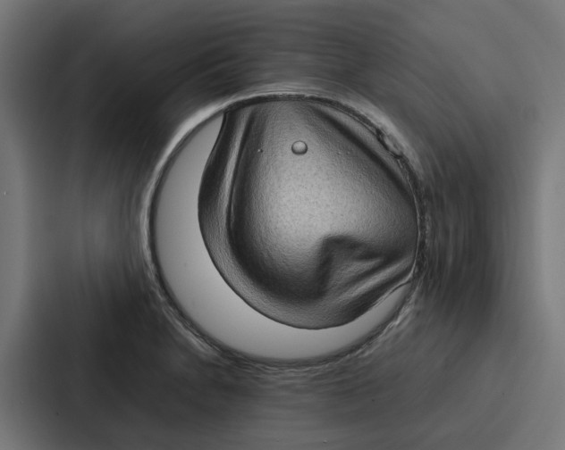 X0000087321230200705112130