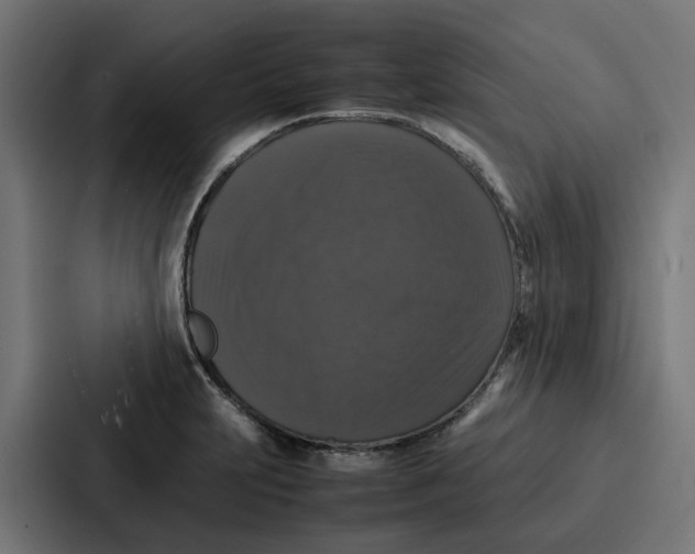 X0000087321231200705112130