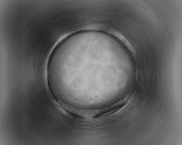 X0000087321232200705112130