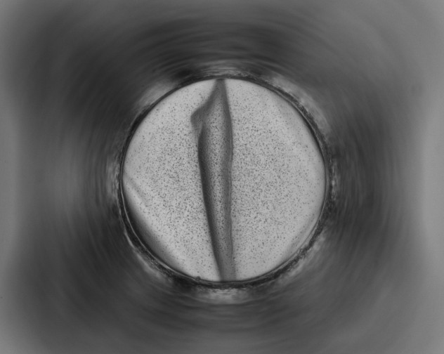 X0000087321233200705112130