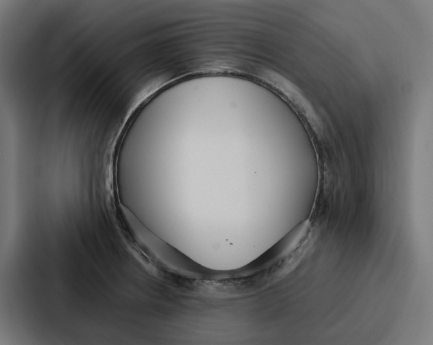 X0000087321234200705112130