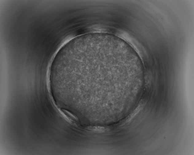 X0000087321235200705112130