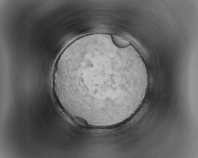 X0000087321236200705112130