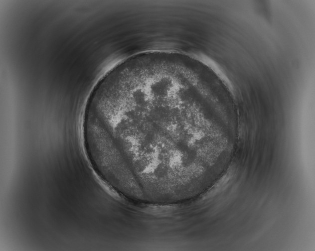 X0000087321237200705112130