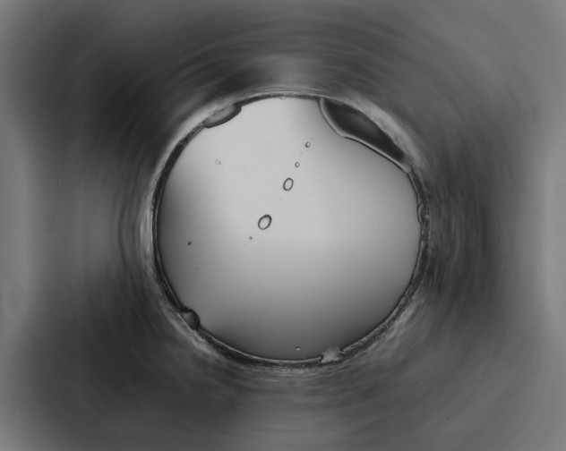 X0000087321238200705112130