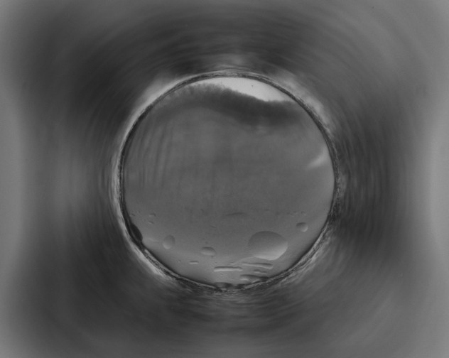 X0000087321239200705112130