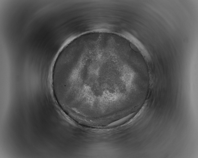 X0000087321240200705112130