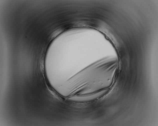 X0000087321241200705112130