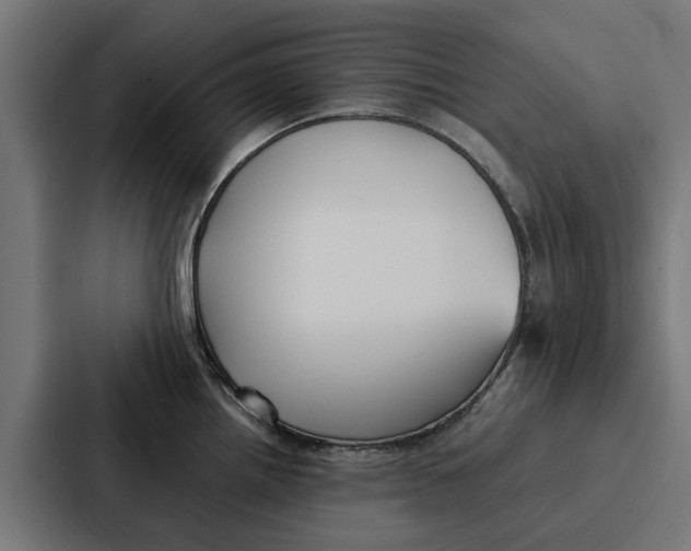 X0000087321242200705112130