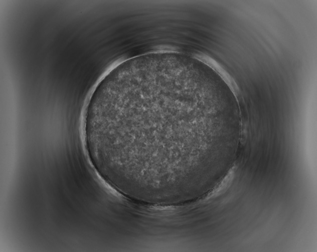 X0000087321243200705112130