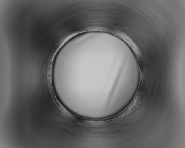 X0000087321244200705112130