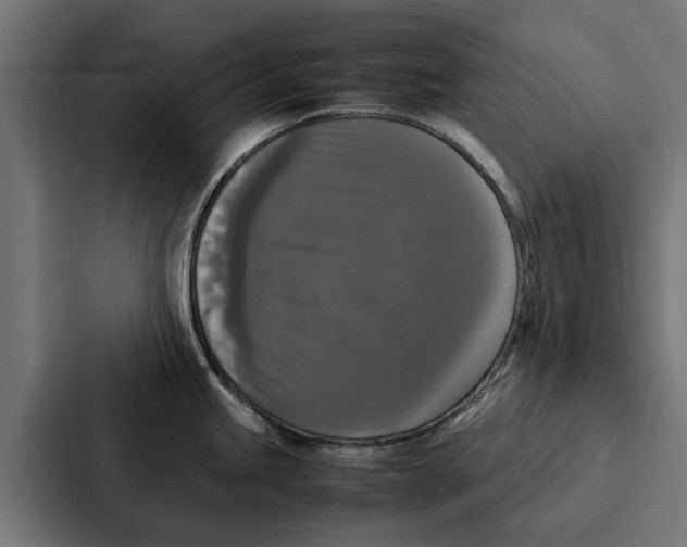 X0000087321245200705112131