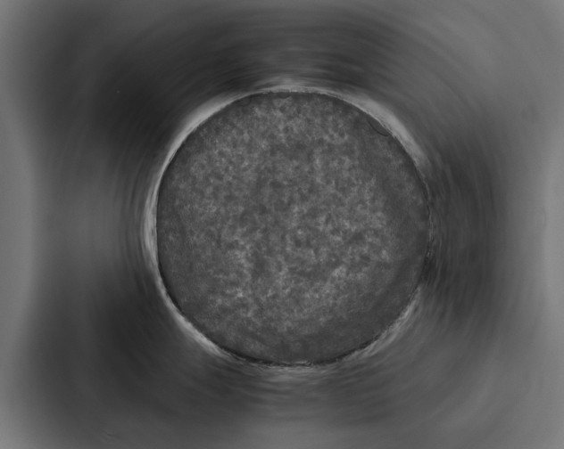 X0000087321247200705112131