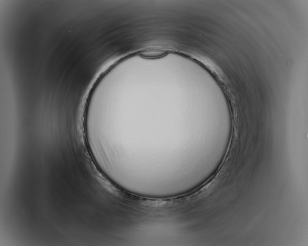 X0000087321248200705112131