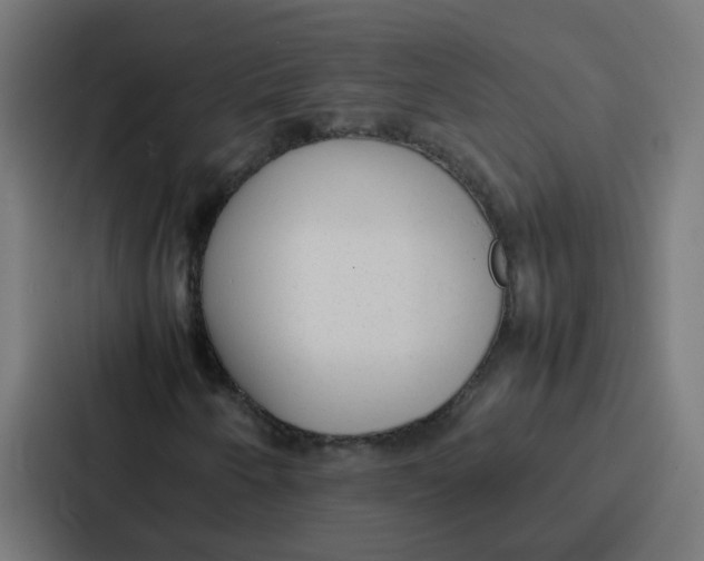 X0000087321250200705112130