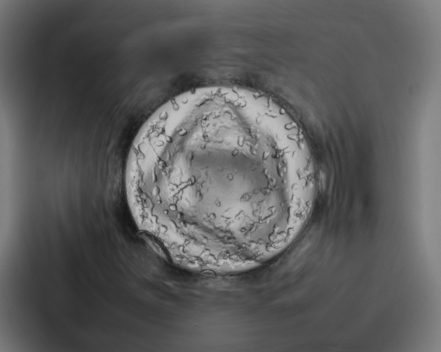 X0000087321251200705112130