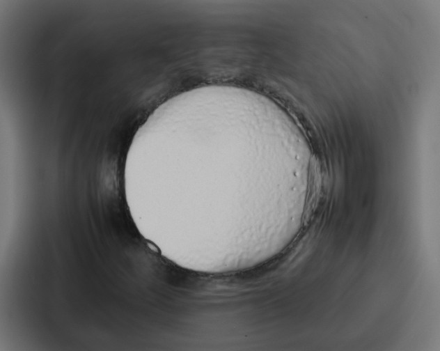 X0000087321252200705112130