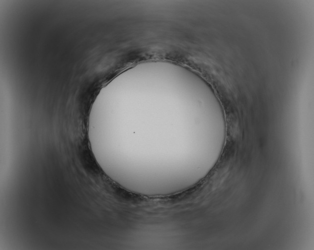 X0000087321253200705112130