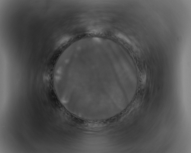 X0000087321254200705112130