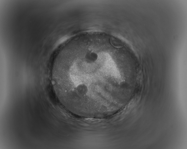 X0000087321255200705112130