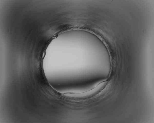 X0000087321257200705112130