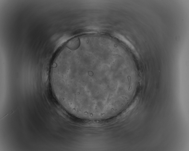 X0000087321259200705112130