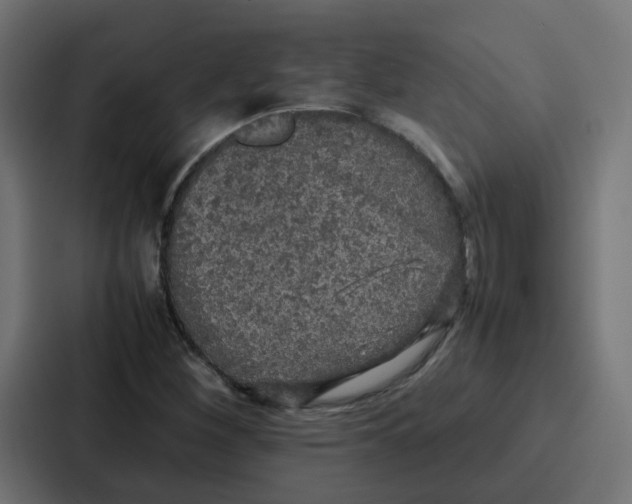 X0000087321260200705112130