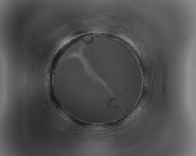 X0000087321263200705112130