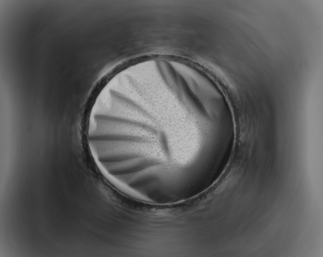 X0000087321264200705112130