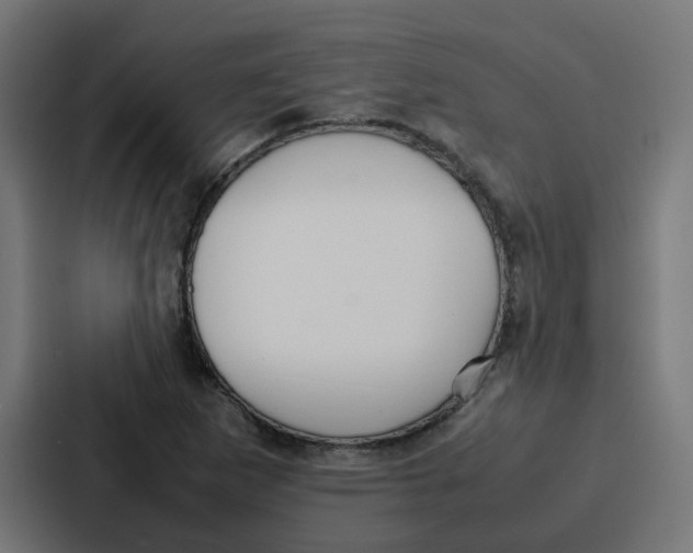 X0000087321265200705112130