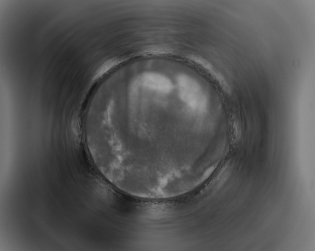 X0000087321266200705112130