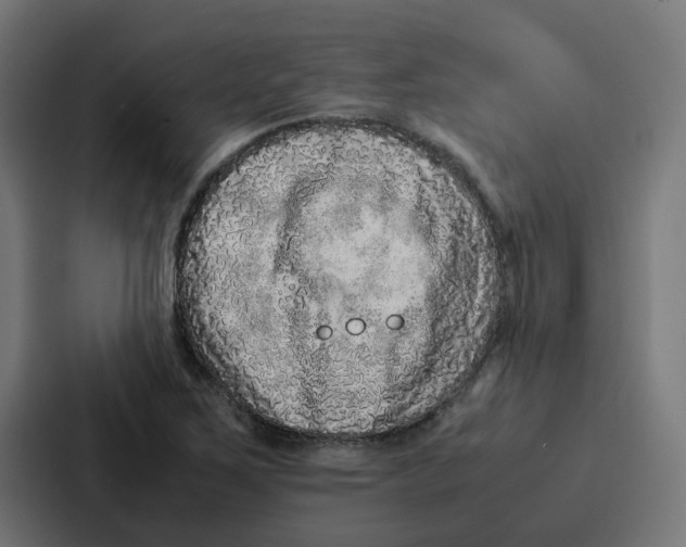 X0000087321267200705112130