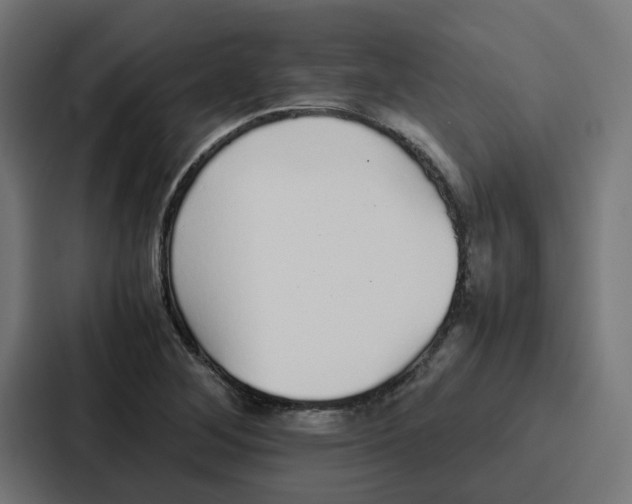 X0000087321268200705112130