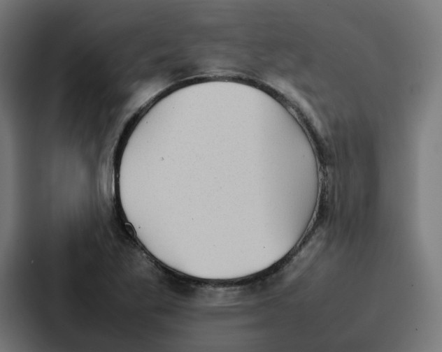 X0000087321269200705112130