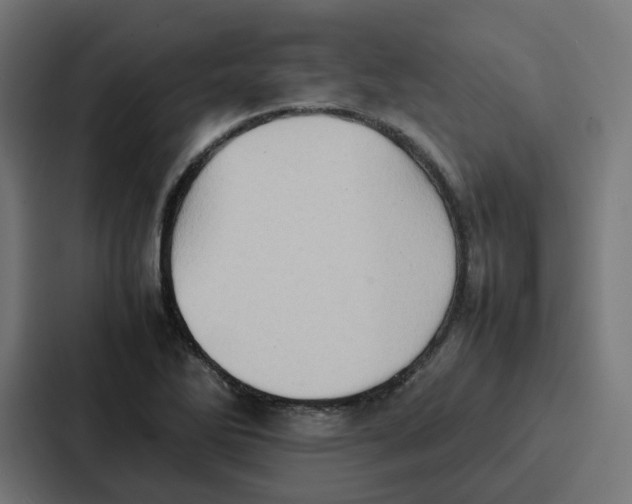 X0000087321270200705112130