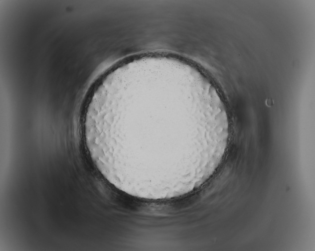 X0000087321271200705112130