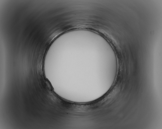 X0000087321273200705112130