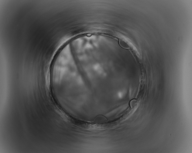 X0000087321275200705112130