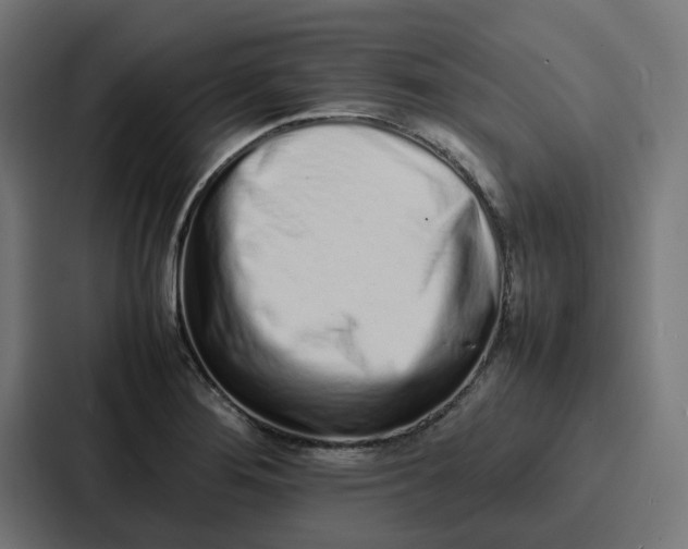 X0000087321276200705112130