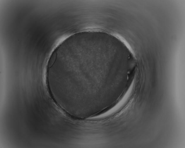 X0000087321277200705112130