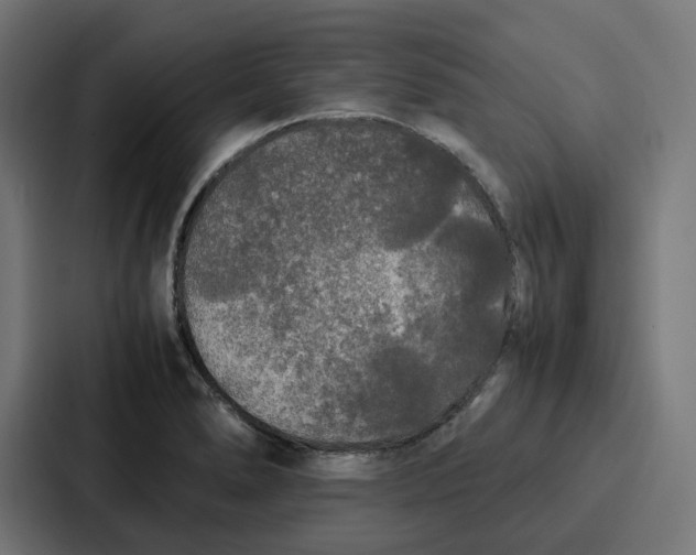 X0000087321278200705112130