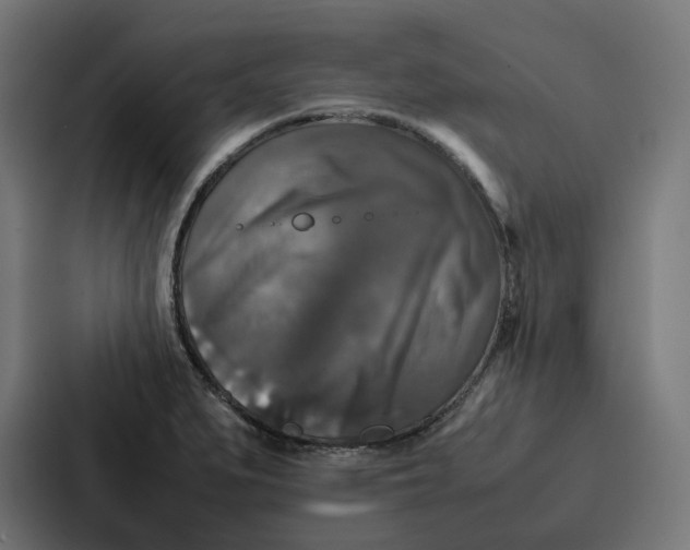 X0000087321279200705112130