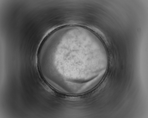 X0000087321280200705112130