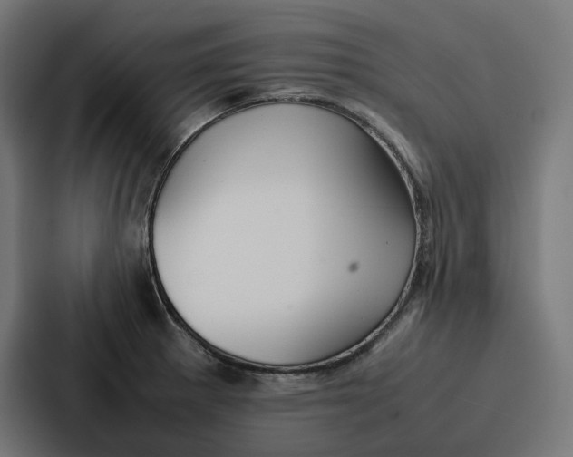 X0000087321281200705112130