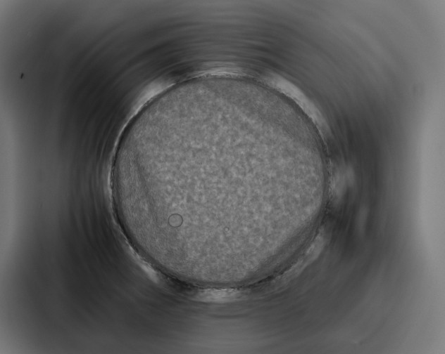 X0000087321282200705112130