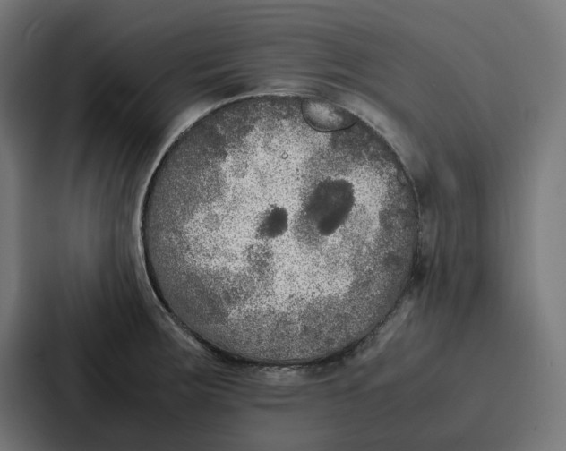 X0000087321283200705112129