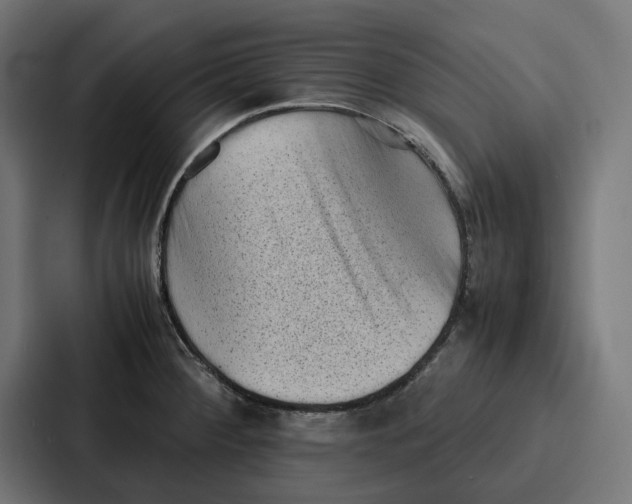 X0000087321284200705112129