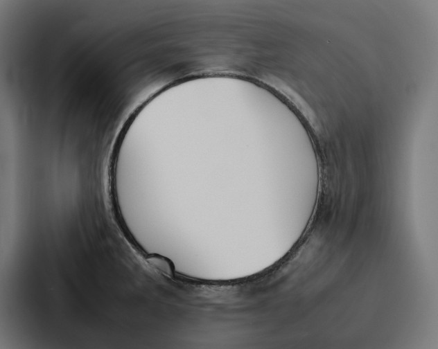 X0000087321285200705112129